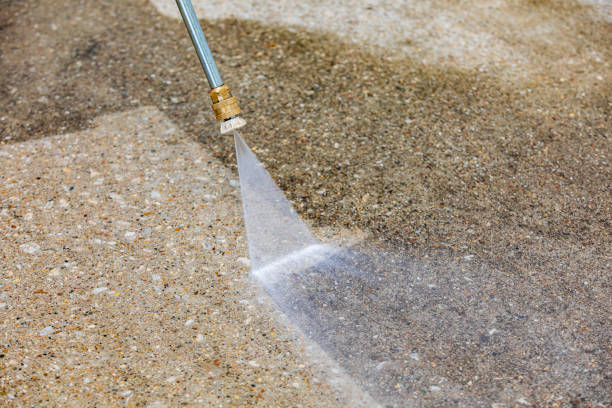 Best Driveway Pressure Washing  in Brookridge, FL